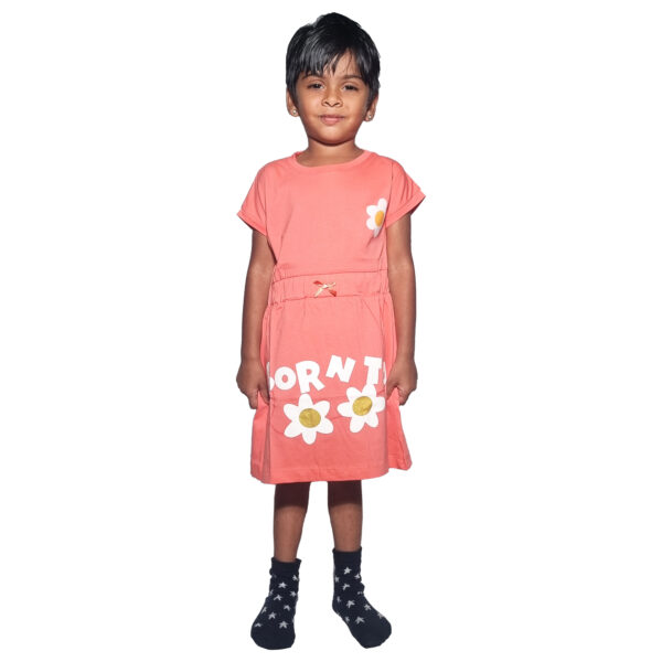 Fancy Frock